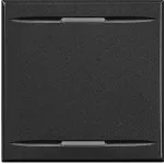 AXOLUTE MYHOME - KLAWISZ 2 FUNKCJI 2M ANTRACYT, Bticino