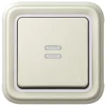 PLEXO55 PRZYCISK JEDNOBIEGUNOWY PODŚWIETLANY BIAŁY/ ECRU 10A-250V~, Legrand