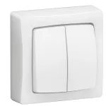 OTEO - ŁĄCZNIK TRANSFORMATOROWY PODWÓJNY BIAŁY KOMPLET 10AX-250V~, Legrand
