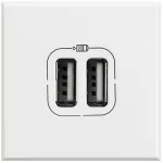 AX:ŁAD.2xUSB 2,4A/5V= 2M BI., Bticino