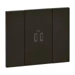 LIVING NOW - ŁADOWARKA 2XUSB C - 2 MODUŁY, Bticino