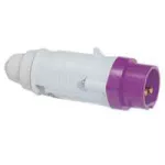 P17 WTYCZKA PRZENOŚNA 32 A/24 V/2P IP44, Legrand