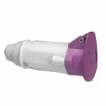 P17 GNIAZDO PRZENOŚNE 32 A/24 V/2P IP44, Legrand