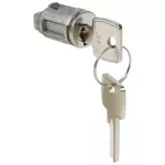 WKŁADKA BĘBENKOWA Z KLUCZEM 455, Legrand