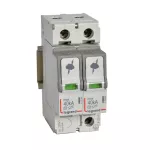 OGRANICZNIK PRZEPIĘĆ T2 40 KA 2P, Legrand