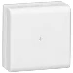DLP PUSZKA ROZGAŁĘŹNA 110 X 110, Legrand