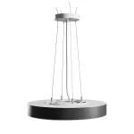 NYMPHEA OPTIMA BLACK 24W CCT 230V 120ST IP20 FI300X50MM BIAŁY CZARNY OKRĄGŁA