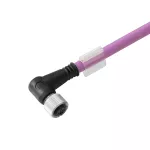 SAIL-M12BW-CD-20B Kabel czujnikowy, nr.katalogowy 1062182000