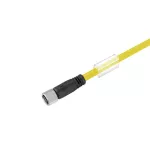 SAIL-M8BG-4-5.0UGE Kabel czujnikowy, nr.katalogowy 1093200500