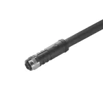 SAIL-M12BG-T-3.0P Kabel czujnikowy, nr.katalogowy 2050490300