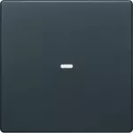 KNX e/s Q.x Klawisz z soczewką do modułu przycisku 1-kr, antracyt aksamit, lak.