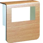 tehalit.SL Pokrywa nośnika urządzeń 20x80 2*45x45 buk