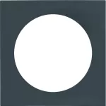 Integro Ramka 1-krotna cz