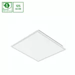 ALGINE PANEL BACKLIGHT 40W NW 230V 120ST IP20 600X600X28 BIAŁY 5 lat gw. DALI
