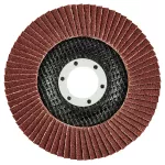 Ściernica listkowa 115 x 22.2 mm, P100