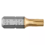 Końcówki wkrętakowe TX25 x 25 mm, 2 szt.