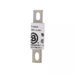 FWX-60A Wkładka szybka, 60 A, AC 250 V, 21 x 81 mm, UL