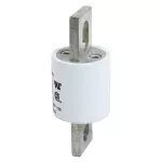 FWX-300A Wkładka szybka, 300 A, AC 250 V, 38 x 98 mm, UL