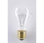 Żarówka niskonapięciowa E27MS 25W 24V A55 2000h