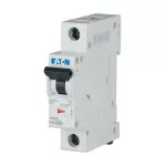 FAZ-C63/1 Wyłącznik nadprądowy 15kA, In=63A, char. C, 1-bieg. Seria FAZ