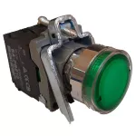 Przycisk sterujący XB4 z podświetleniem 24V NO zielony IP65, tablicowy