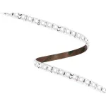 ORO STRIP 600L SMD 2835 WD DW 8MM TAŚMA LED