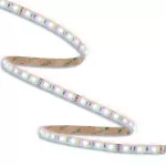 ORO STRIP SMD 12V/200LM/RGB 5M Taśma LED