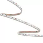ORO STRIP SMD 12V/500LM/NW 5M Taśma LED