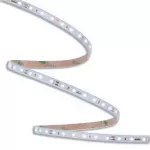 ORO STRIP SMD 12V/500LM/CW 5M IP65 Taśma LED