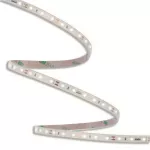 ORO STRIP SMD 12V/500LM/NW 5M IP65 Taśma LED