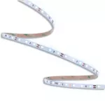 ORO STRIP SMD 12V/500LM/CW 50M Taśma LED