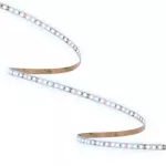 ORO STRIP SMD 12V/1000LM/CW 5M Taśma LED