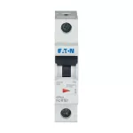 FAZ-K16/1 Wyłącznik nadprądowy 10kA, In=16A, char. K, 1-bieg. Seria FAZ
