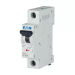 FAZ-K16/1 Wyłącznik nadprądowy 10kA, In=16A, char. K, 1-bieg. Seria FAZ