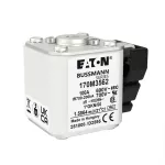 170M3562 Wkładka szybka, 100A 690V 1*GKN/50 aR UC