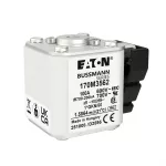 170M3562 Wkładka szybka, 100A 690V 1*GKN/50 aR UC