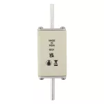 170M7357 FUSE 160A 800V AC gR SIZE 1 DUAL IND