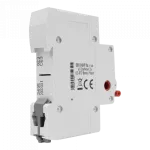 Rozłącznik izolacyjny 1P 100A