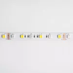 Taśma LED 300 14.4W/m RGB+CCT 12V IP63  /5m/