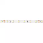 Taśma LED 300 10.8W/m 6500K 500lm/m 24V IP20 /5m/