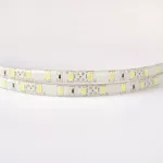 Taśma LED 300 19W/m 6500K 1550lm/m 12V IP63 /5m/