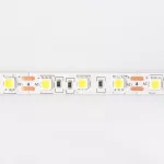 Taśma LED 300 14.4W/m 6500K 800lm/m 12V IP20 /5m/