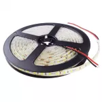 Taśma LED 600 9.6W/m 6500K 600lm/m 12V IP63 /5m/