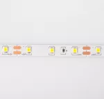 Taśma LED 300 4.8W/m 6500K 200lm/m 12V IP20 /5m/ E