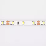 Taśma LED 300 4.8W/m 6500K 300lm/m 12V IP20 /5m/
