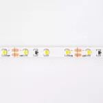 Taśma LED 300 4.8W/m 3000K 300lm/m 12V IP20 /5m/