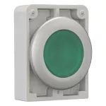 M30C-FDRL-G Podśw.przycisk 30mm płaski,bez sam.zielony