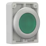 M30C-FDRL-G Podśw.przycisk 30mm płaski,bez sam.zielony