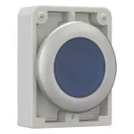 M30C-FDL-B Podśw.przycisk 30mm płaski, niebieski
