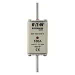 BSF-100G-NH110 FUSE 100A 1000V DC BSF SIZE 1 DUAL IND
